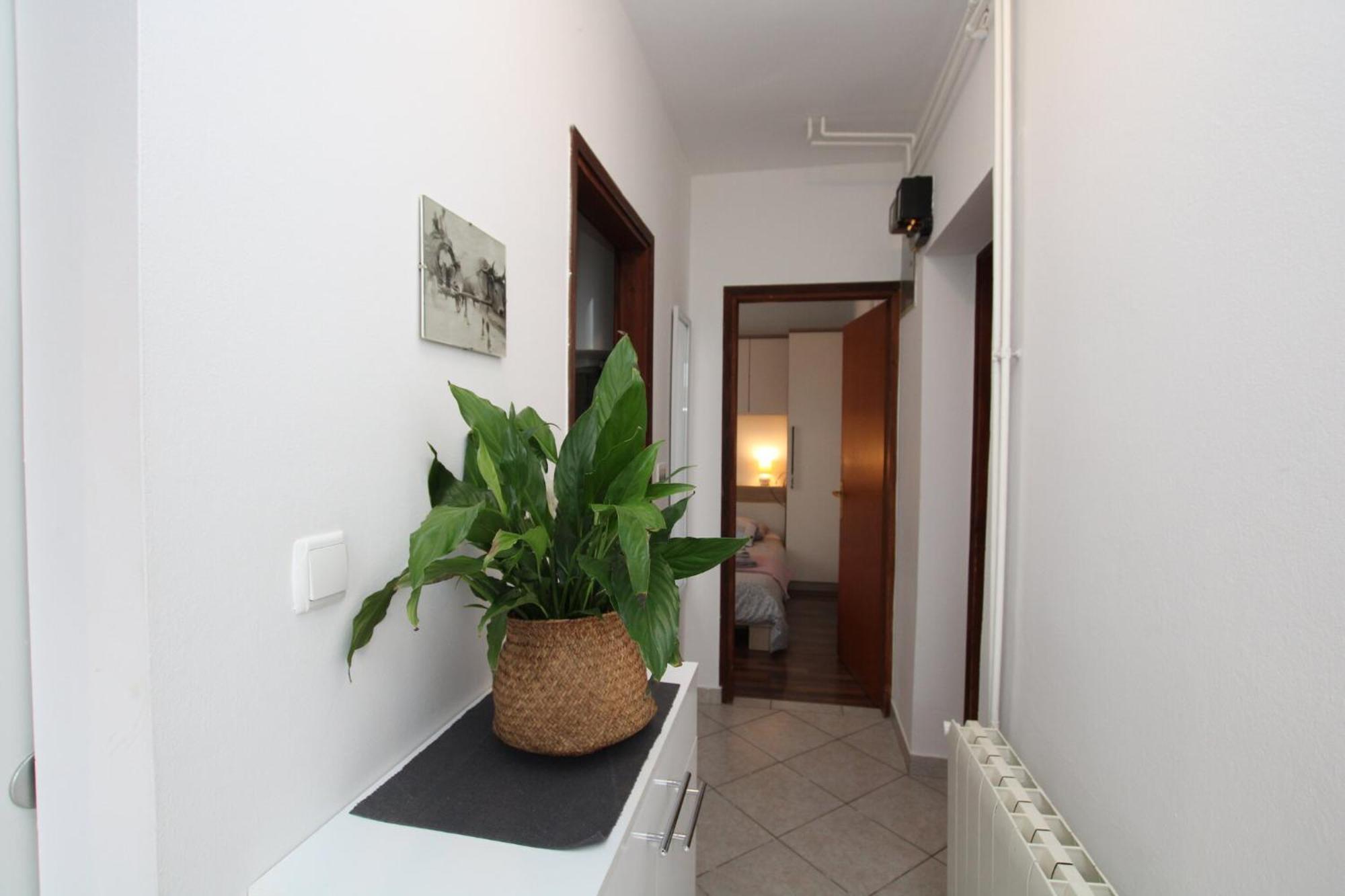 Apartment Alba Adria *
