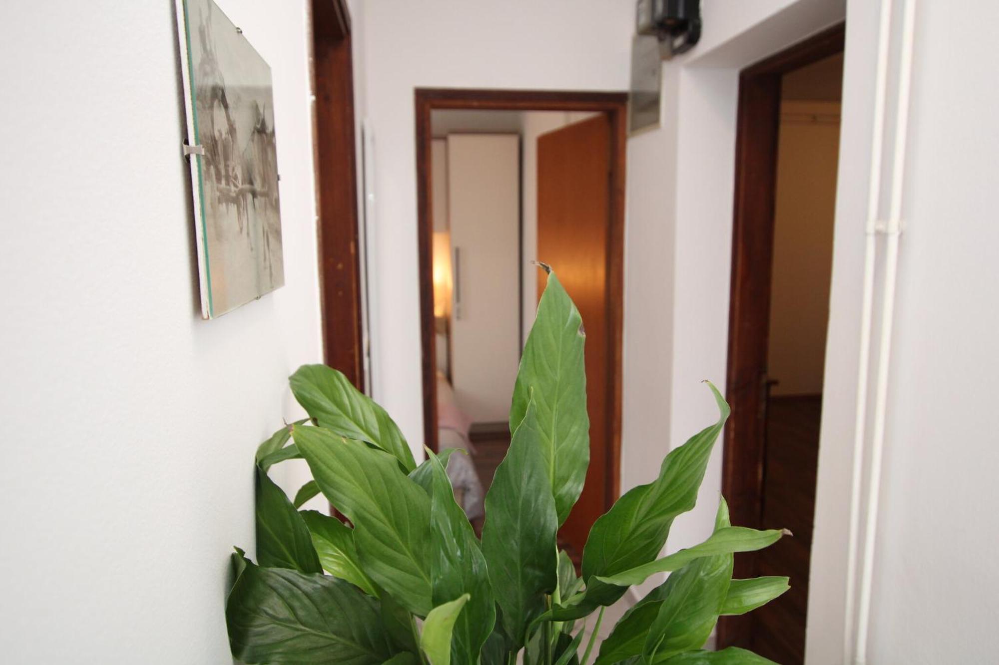 Alba Adria Apartment *